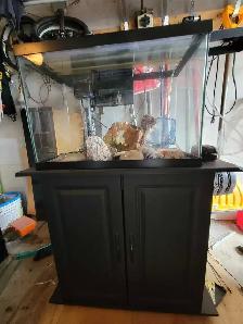 20 Gallon Aquarium