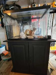 20 Gallon Aquarium - Photo 2