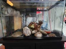 20 Gallon Aquarium - Photo 3