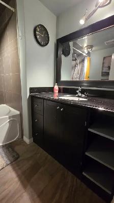 Bright Beautiful 2 Bedrooom Basement Suite - Photo 7