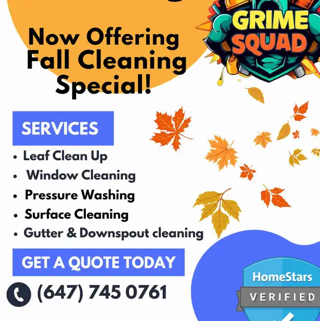 Gutter cleaning