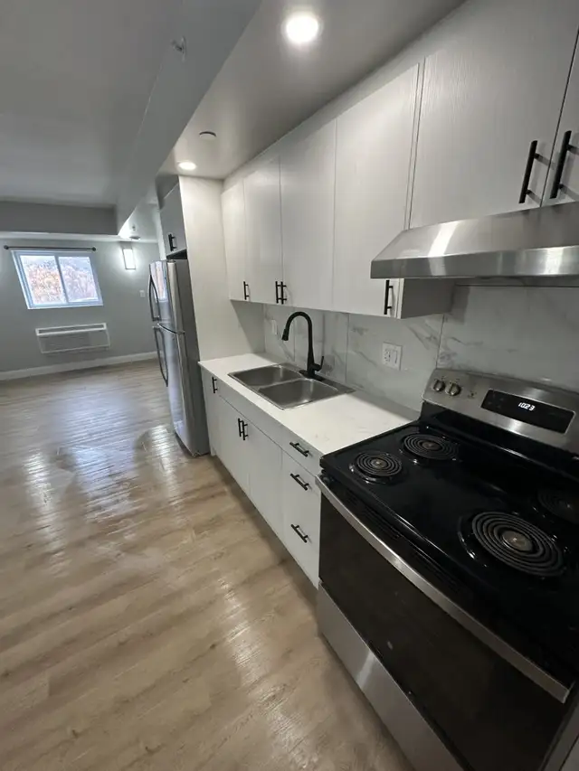 New One Bedroom Available Nov & Dec in Minnow Lake