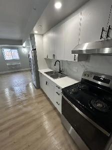 New One Bedroom Available Nov & Dec in Minnow Lake