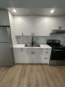 New One Bedroom Available Nov & Dec in Minnow Lake - Photo 3