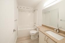 Basement Suite for Rent in Allard (Edmonton SW) - Photo 3