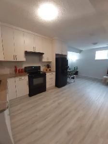 Basement Suite for Rent in Allard (Edmonton SW) - Photo 5