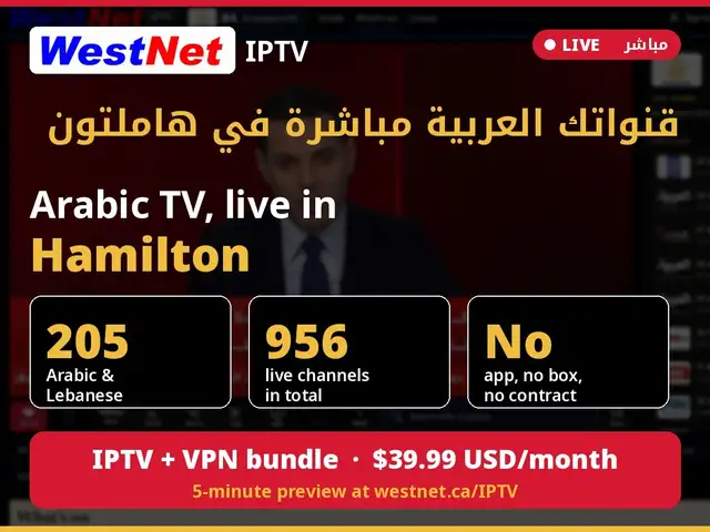 Hamilton Arabic TV Online - Live News, Drama & Quran Channels
