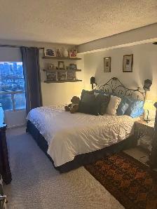 2 bedroom, 2 full bathroom plus solarium for rent immediately - Photo 2