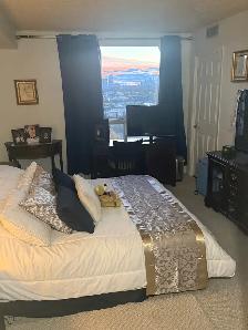 2 bedroom, 2 full bathroom plus solarium for rent immediately - Photo 8