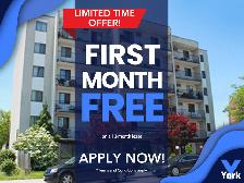 BEAUTIFUL 1 BEDROOM APARTMENT AVAILABLE