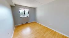 BEAUTIFUL 1 BEDROOM APARTMENT AVAILABLE - Photo 9