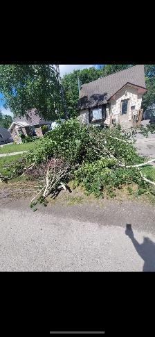 From $99 Garbage/Junk Removal Services!!!Same Day Pickup!!! - Photo 6
