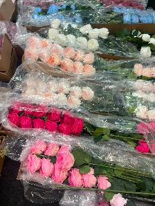 Brand New Artificial flowers and Plants Special from $1 to $299 - Photo 5