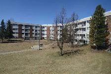 Extremely Nice Renovated Executive Style 2BDRM All Utilities Inc - Photo 8