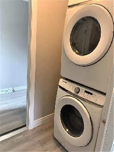 3 BEDROOM LOWER APARTMENT FOR RENT - Photo 6