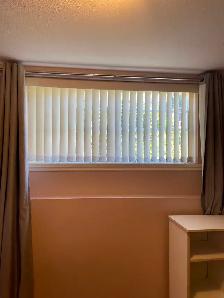 Furnished private BR in 2 BR bsmt suite by Joyce Station - Photo 9