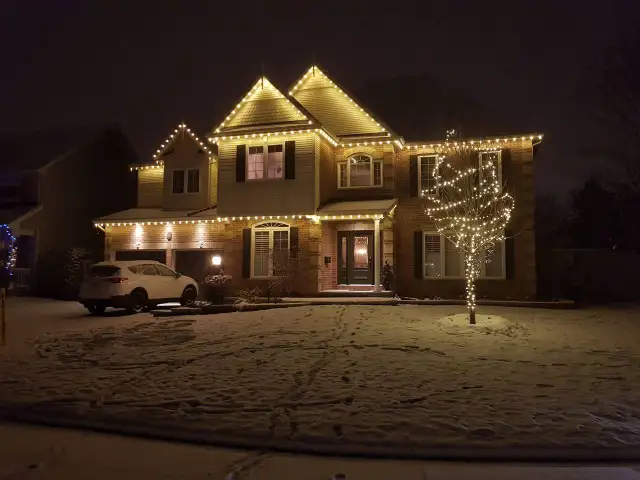 Permanent Lights Installer and Tree decoration