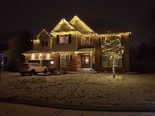 Permanent Lights Installer and Tree decoration