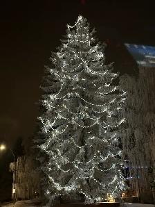 Permanent Lights Installer and Tree decoration - Photo 2