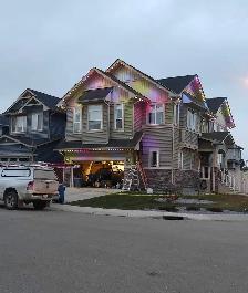 Permanent Lights Installer and Tree decoration - Photo 3