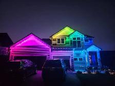 Permanent Lights Installer and Tree decoration - Photo 4