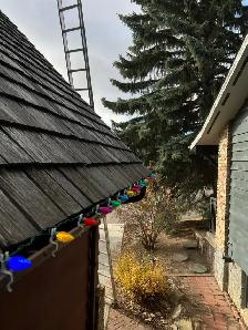 Permanent Lights Installer and Tree decoration - Photo 6