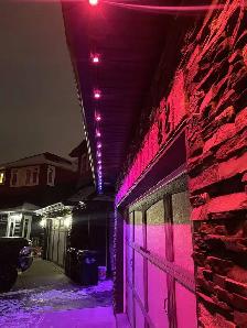 Permanent Lights Installer and Tree decoration - Photo 7