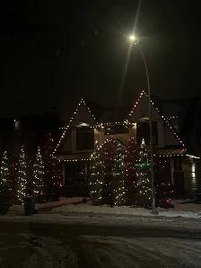 Permanent Lights Installer and Tree decoration - Photo 8
