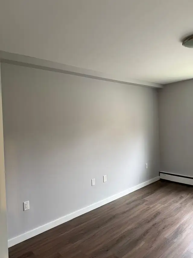 painter and drywall repair