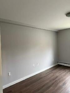 painter and drywall repair