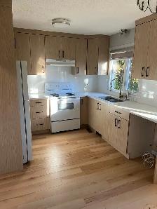 Upper Level House for Rent in Rundle NE - Photo 2