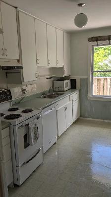 4-bedroom house, minutes from UNB and STU - Photo 5