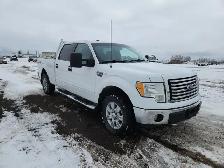 2010 Ford F-150 - Photo 2