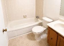 LARGE 1 BEDROOM IMMACULATE DUPLEX - BANK & HERON - Photo 5