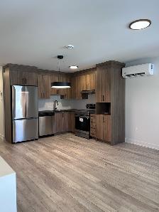 4½ NEUF • Hydro inclus • Vieux-Aylmer | New 2 bdrm • Hydro incl. - Photo 2