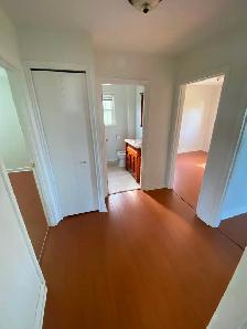 3 Bedroom Home in Hants Border - Photo 12