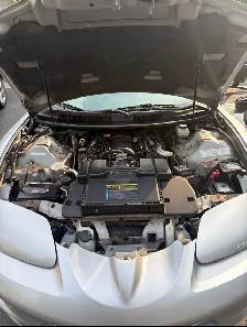 1998 Pontiac Firebird Trans Am - Photo 7