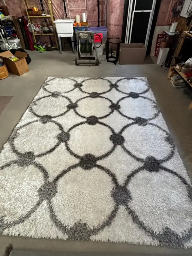 Modern white with grey ring shag run
