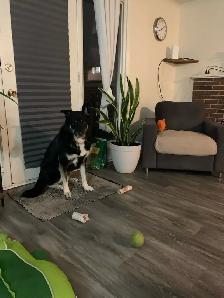 room for rent - Photo 6