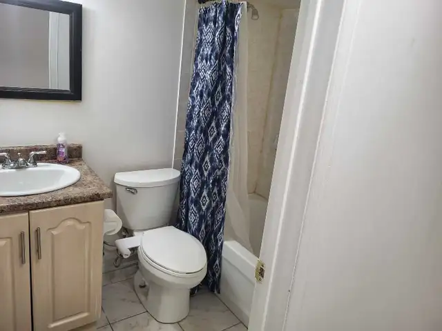 1 Bedroom Basement for Rent in Heartland for$1300
