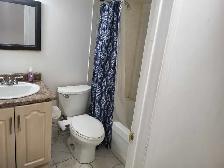 1 Bedroom Basement for Rent in Heartland for$1300