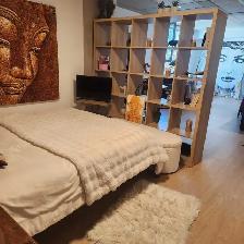 Griffintown studio très grand lumineux - Photo 8