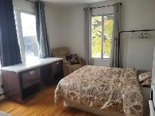 Grande Chambre a louer(2) - Photo 3