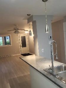 4-1/2 entièrement rénové à Longueuil, 2 chambres, 1 parking