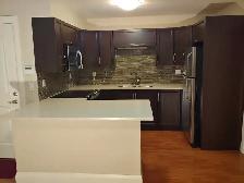 2 Bedroom Suite in Edgemont Village - Photo 3