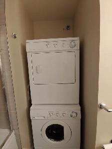 2 Bedroom Suite in Edgemont Village - Photo 9