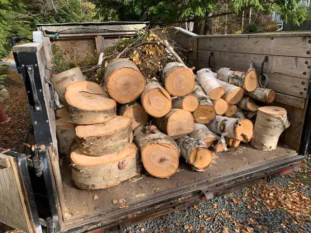 Firewood