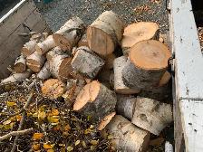 Firewood - Photo 2