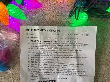 Sylvania outdoor Christmas lights 50x2 - Photo 2