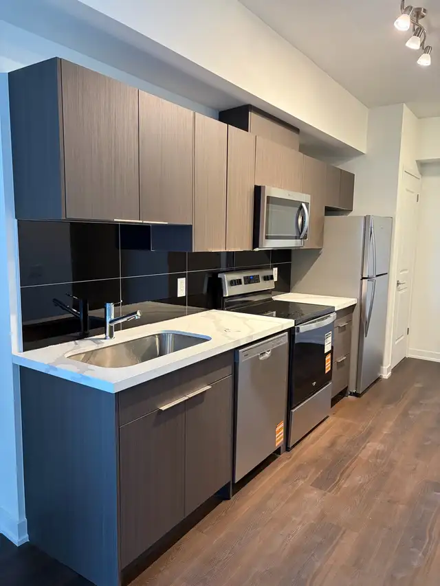 Brand-New 1 Bedroom   Den Condo Rental